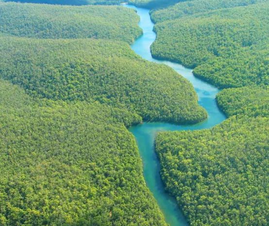 Desafíos de la Amazonía: Seminario a puertas del Sínodo