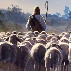 Luis Sarmiento: Jesús es el Pastor que aprendió a ser oveja en lo cotidiano