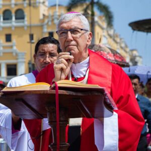 Domingo de Ramos: «Identificar a Jesús en las víctimas del mundo»
